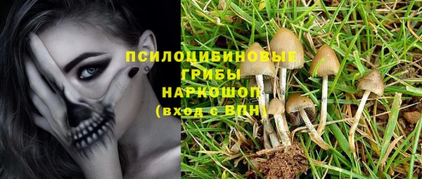 Альфа ПВП Алексин