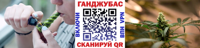 Шишки марихуана планчик  как найти закладки  Николаевск 